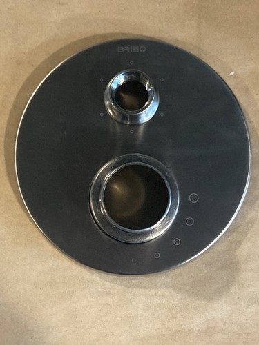 Brizo thermostatic valve with - brizo,
