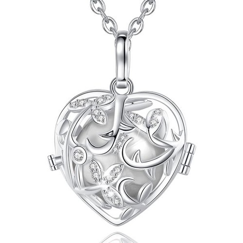 Bola grossesse cage coeur - grossesse,