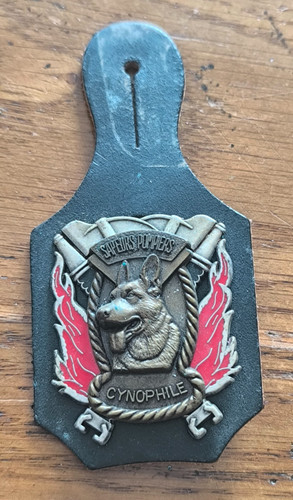 Insigne sapeurs pompiers - insigne,