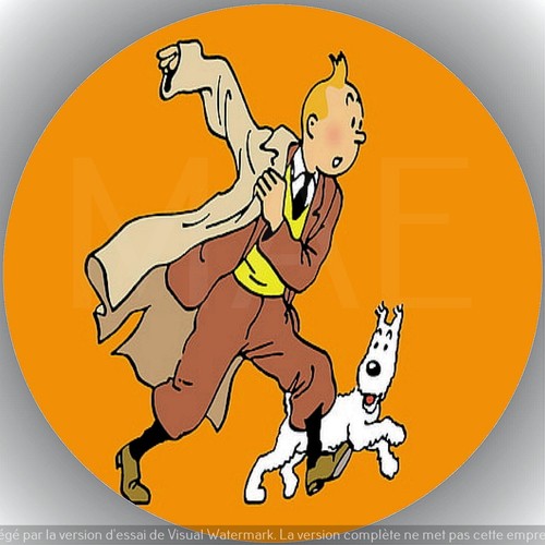 Tintin milou décoration - tintin,