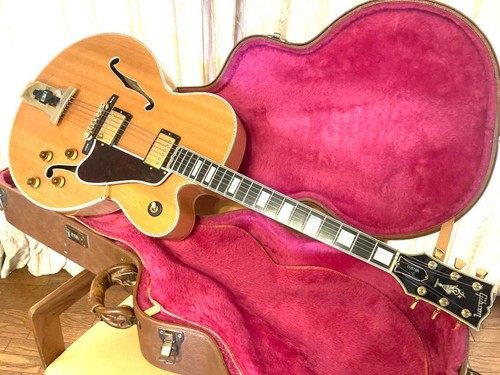 Guitare acoustique complète