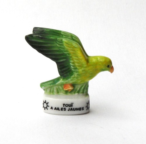 Cyb fève atlas oiseau - -, touï