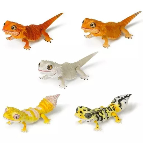 Creature encyclopedia reptiles - encyclopedia,
