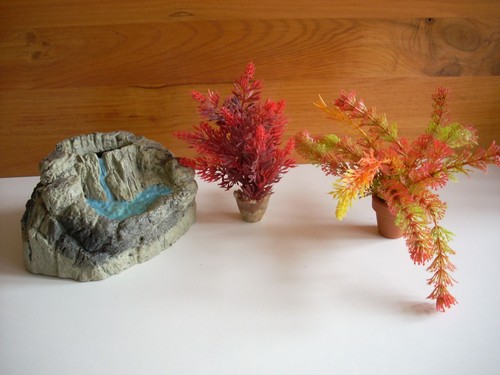 Lots plantes et un - de,