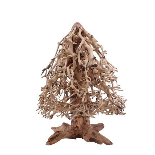 Bonsaï sapin racine bois - de, l