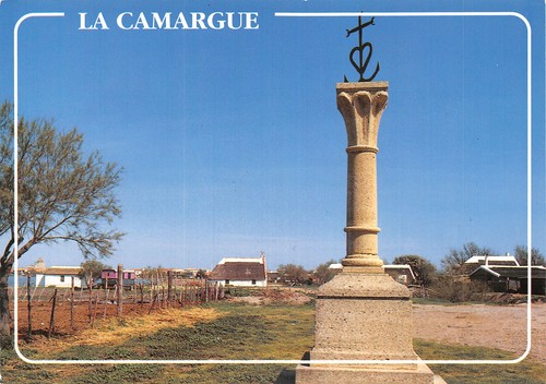 Camargue croix des - la,