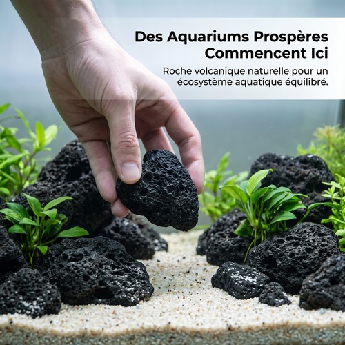 Substrat volcanique jardin - volcanique,