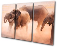 Animals Baby Elephant TREBLE