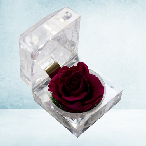 Rose éternell coffret - rose,