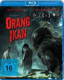 Orang ikan splendid - orang,