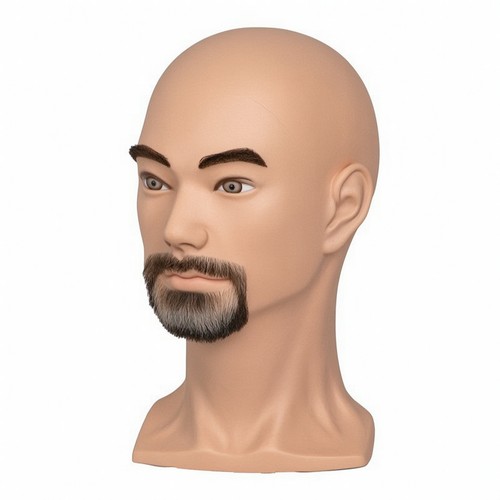 Buste mannequin homme - mannequin,