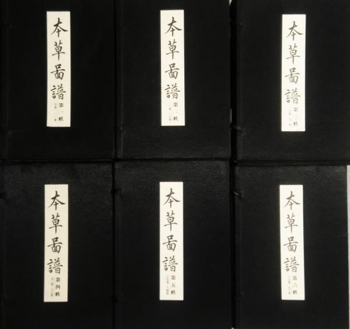 Livre imprimé japonais honzo - livre,