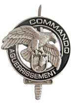 BREVET DES COMMANDOS COMMANDO AGUERRISSEMENT CEC GIVET (VARIANTE EN Y. DELSART)