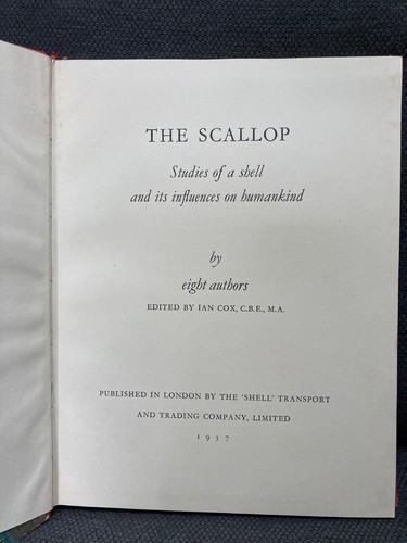 Livre the scallop - livre:, scallop,