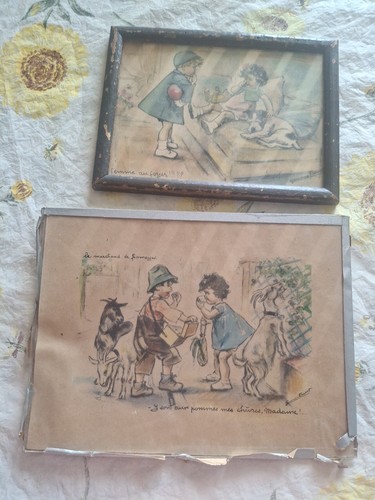 Lot deux cadres sous verre - lot,