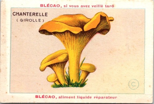 85428 chromo blécao - , aliment