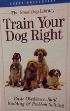 Train Your Dog Right: Basic