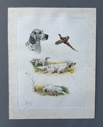 Riab hunting dogs engraving - hunting,