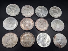 12 x pièce d'argent 12 onces États-Unis 1 oz Fine Silver One Dollar années di...