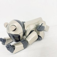 JUNK !! Fonctionnement du corps SONY AIBO ERS-210 article non confirmé du...
