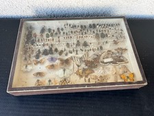 Ancienne boîte entomologique