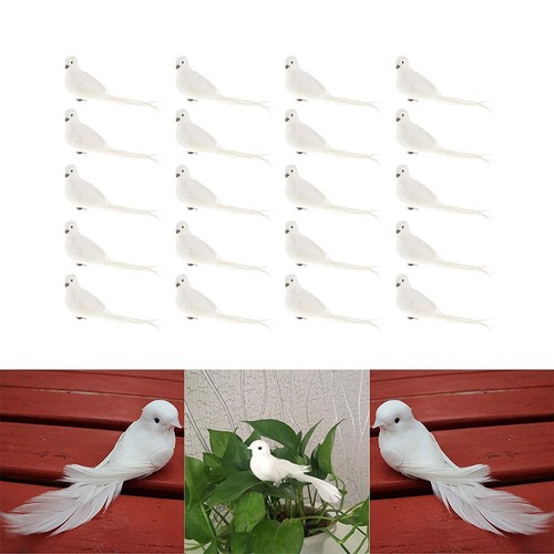 20pcs mousse plumes - de,