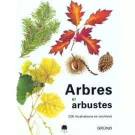 Arbres arbustes vaclav - arbres, et