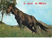 Animaux - Chevaux - Le Cheval