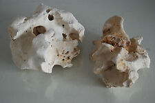 Aquarium Naturel Corail Cichlidés Rock 2 Pièces Pour Tout Utilisation BA14