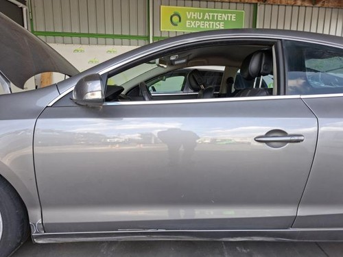 Porte avant gauche - , renault