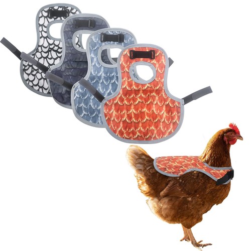Maidequan pcs chicken - maidequan, 4