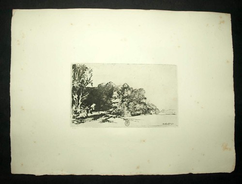 Bouquet arbres gravure - le, d'arbres
