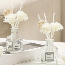 Diffuseur d'aromathérapie sans flamme, désodorisant et décoratif, 50 ml, A2D1