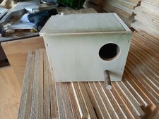 1 Nid Perruche Ondulée 