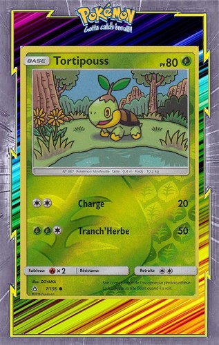 Tortipouss reverse - reverse,