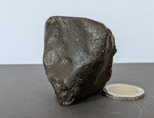 Authentique Chondrite