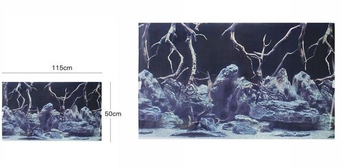 Poster fond pour - x, aquarium