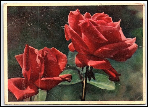 Carte postale ancienne