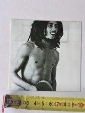 Autocollant Sticker Bob Marley Reggae Rasta Rastafari Dread Locks Dub