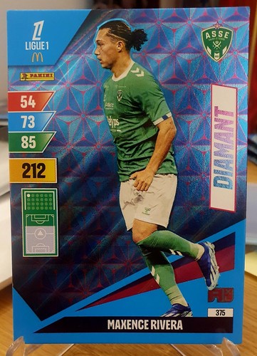 Card panini adrenalyn - card,