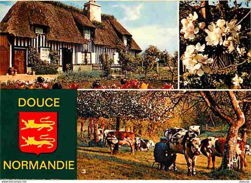 Carte postale animaux - -,