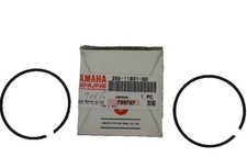 Coppia De Bandes De Piston