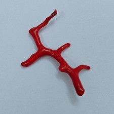 Ancienne branche de corail