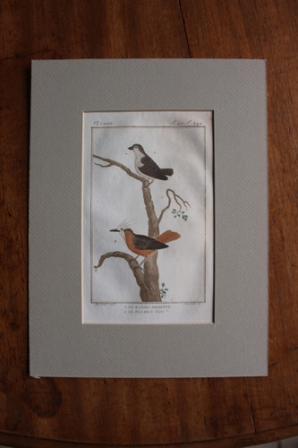Très rare gravure - très, de
