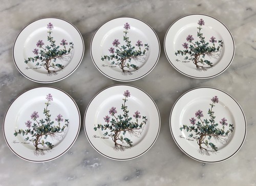 Botanica villeroy boch 6 - botanica, et