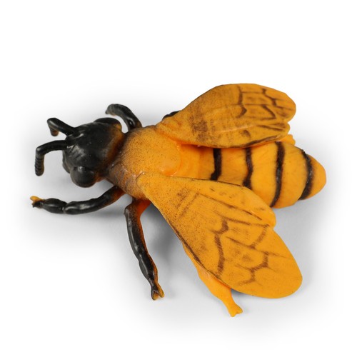 Abeille cm - abeille, 11