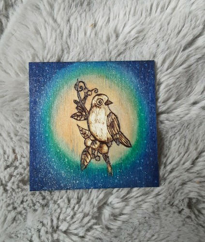 Sous verre bois - en, oiseau