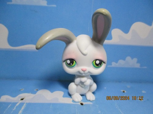 Petshop lapin garenne - petshop,