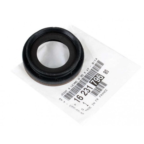 Joint spi pour peugeot - joint,
