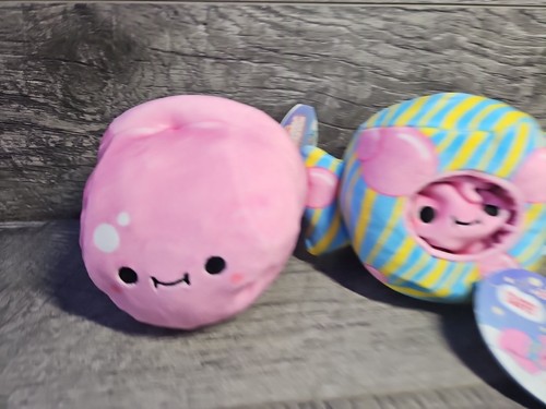 Lot cheeky chonks - of, 4.5"